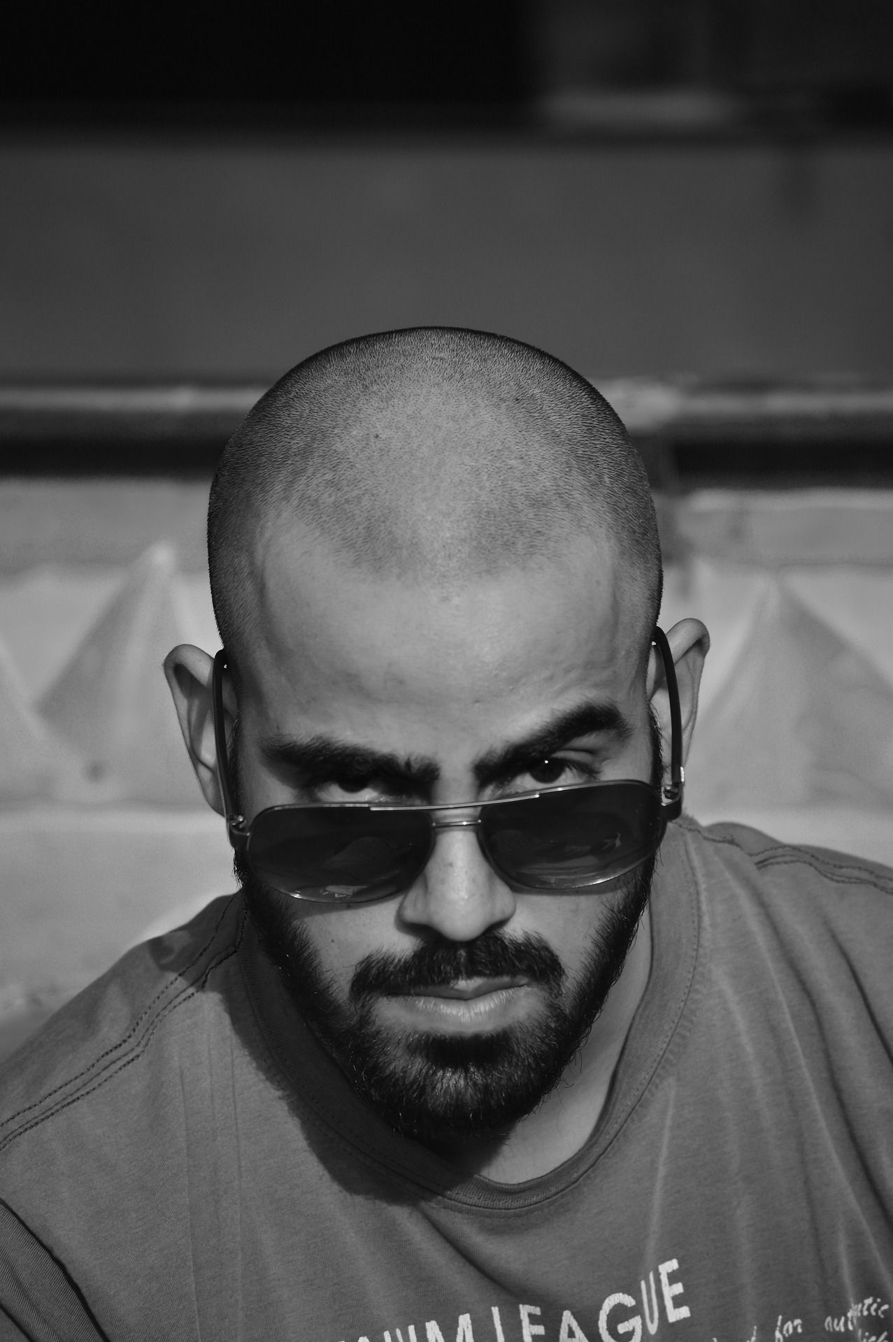 fases/proceso total injerto